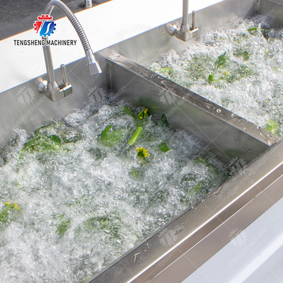 Fruit Orange Leaves Vegetables sward beans  Herbs Fruiting vegetables Wash Washer Washing Cleaning processing production Double cylinder fruit and vegetable washing machine