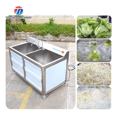 Fruit Orange Leaves Vegetables sward beans  Herbs Fruiting vegetables Wash Washer Washing Cleaning processing production Double cylinder fruit and vegetable washing machine