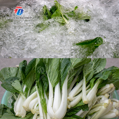 Fruit Orange Leaves Vegetables sward beans  Herbs Fruiting vegetables Wash Washer Washing Cleaning processing production Double cylinder fruit and vegetable washing machine