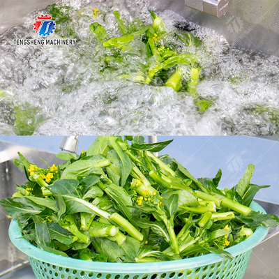 Fruit Orange Leaves Vegetables sward beans  Herbs Fruiting vegetables Wash Washer Washing Cleaning processing production Double cylinder fruit and vegetable washing machine