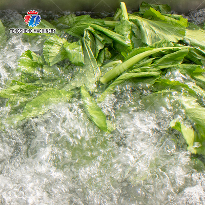 Fruit Orange Leaves Vegetables sward beans  Herbs Fruiting vegetables Wash Washer Washing Cleaning processing production Double cylinder fruit and vegetable washing machine