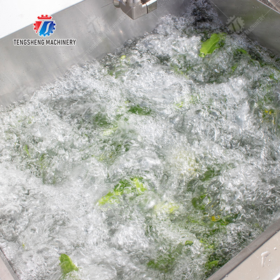 Fruit Orange Leaves Vegetables sward beans  Herbs Fruiting vegetables Wash Washer Washing Cleaning processing production Double cylinder fruit and vegetable washing machine