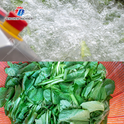 Fruit Orange Leaves Vegetables sward beans  Herbs Fruiting vegetables Wash Washer Washing Cleaning processing production Double cylinder fruit and vegetable washing machine