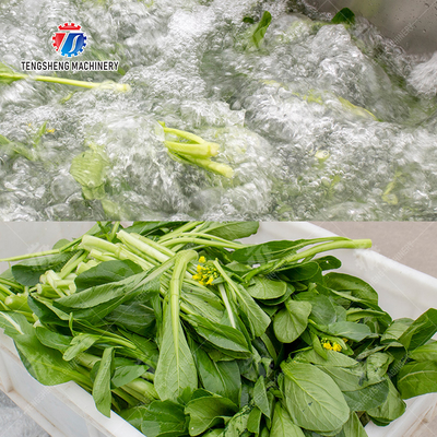 Fruit Orange Leaves Vegetables sward beans  Herbs Fruiting vegetables Wash Washer Washing Cleaning processing production Double cylinder fruit and vegetable washing machine