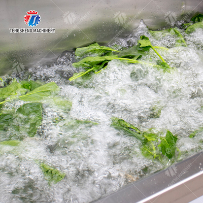 Fruit Orange Leaves Vegetables sward beans  Herbs Fruiting vegetables Wash Washer Washing Cleaning processing production Double cylinder fruit and vegetable washing machine