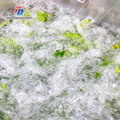 Fruit Orange Leaves Vegetables sward beans  Herbs Fruiting vegetables Wash Washer Washing Cleaning processing production Double cylinder fruit and vegetable washing machine