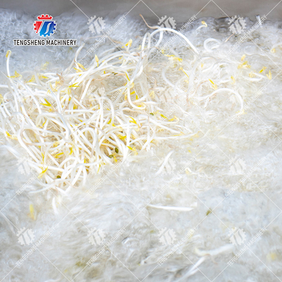 Fruit Orange Leaves Vegetables sward beans  Herbs Fruiting vegetables Wash Washer Washing Cleaning processing production Double cylinder fruit and vegetable washing machine