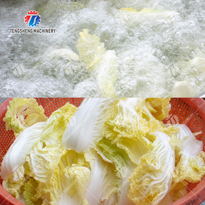 Fruit Orange Leaves Vegetables sward beans  Herbs Fruiting vegetables Wash Washer Washing Cleaning processing production Double cylinder fruit and vegetable washing machine