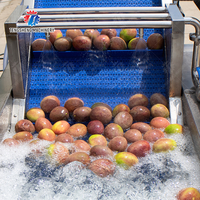 Vegetables bubble washing machine Wash Washer Washing Cleaning processing production Fruit Orange Vegetable Leaves Vegetables Herbs