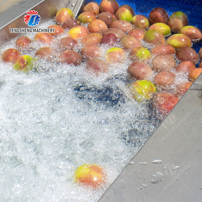 Vegetables bubble washing machine Wash Washer Washing Cleaning processing production Fruit Orange Vegetable Leaves Vegetables Herbs