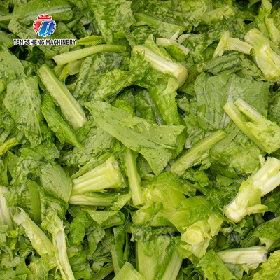 Vegetables bubble washing machine Wash Washer Washing Cleaning processing production Fruit Orange Vegetable Leaves Vegetables Herbs