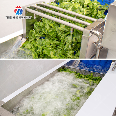 Vegetables bubble washing machine Wash Washer Washing Cleaning processing production Fruit Orange Vegetable Leaves Vegetables Herbs
