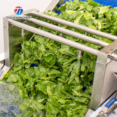 Vegetables bubble washing machine Wash Washer Washing Cleaning processing production Fruit Orange Vegetable Leaves Vegetables Herbs