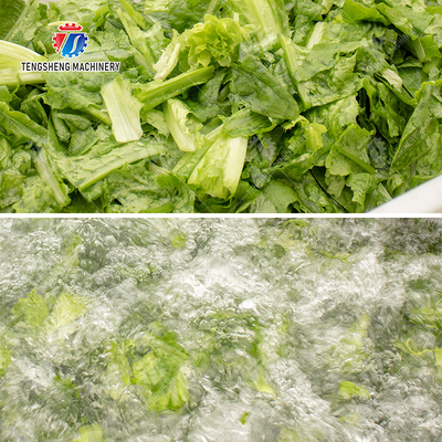 Vegetables bubble washing machine Wash Washer Washing Cleaning processing production Fruit Orange Vegetable Leaves Vegetables Herbs