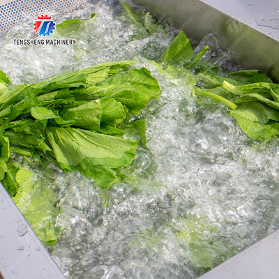 Vegetables bubble washing machine Wash Washer Washing Cleaning processing production Fruit Orange Vegetable Leaves Vegetables Herbs