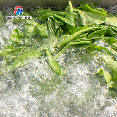 Vegetables bubble washing machine Wash Washer Washing Cleaning processing production Fruit Orange Vegetable Leaves Vegetables Herbs