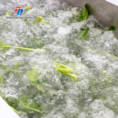 Vegetables bubble washing machine Wash Washer Washing Cleaning processing production Fruit Orange Vegetable Leaves Vegetables Herbs