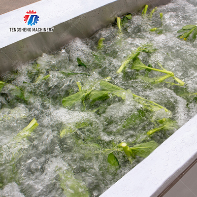 Vegetables bubble washing machine Wash Washer Washing Cleaning processing production Fruit Orange Vegetable Leaves Vegetables Herbs