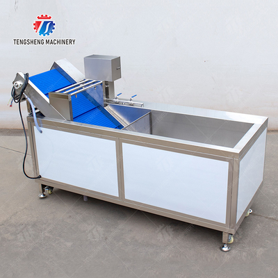 Vegetables bubble washing machine Wash Washer Washing Cleaning processing production Fruit Orange Vegetable Leaves Vegetables Herbs