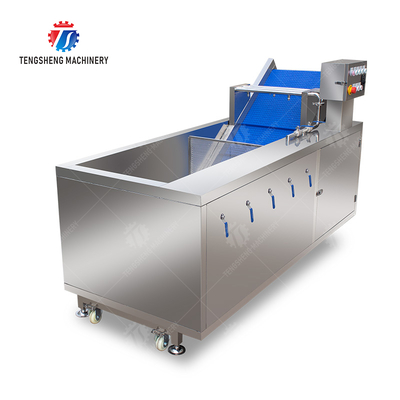 Vegetables bubble washing machine Wash Washer Washing Cleaning processing production Fruit Orange Vegetable Leaves Vegetables Herbs