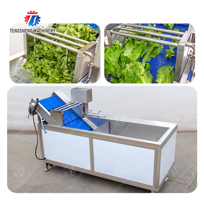 Vegetables bubble washing machine Wash Washer Washing Cleaning processing production Fruit Orange Vegetable Leaves Vegetables Herbs