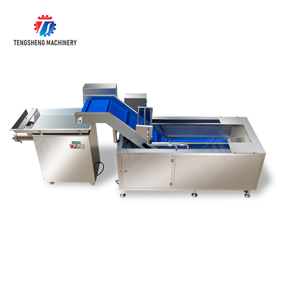Meat washing and grinding production line Fruit Beef Pork Chicken Lamb Fish processing production Machine