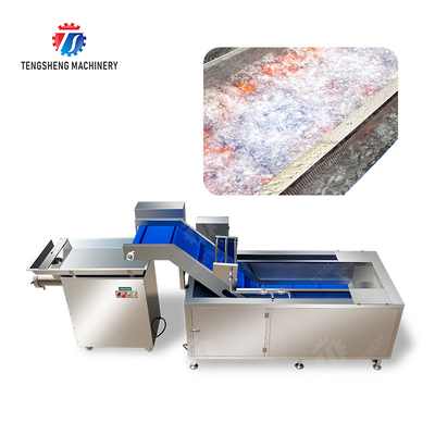 Meat washing and grinding production line Fruit Beef Pork Chicken Lamb Fish processing production Machine