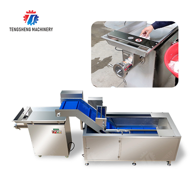 Meat washing and grinding production line Fruit Beef Pork Chicken Lamb Fish processing production Machine