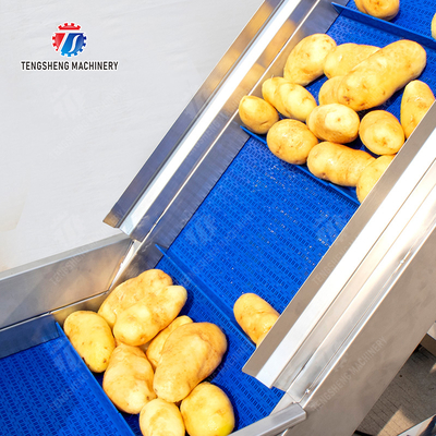 Brush washing and hoisting production line Ginger Potato Carrot Taro Sweet potato Yam processing production Machine