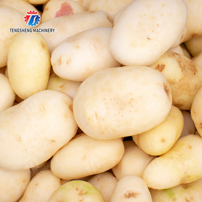 Brush washing and hoisting production line Ginger Potato Carrot Taro Sweet potato Yam processing production Machine