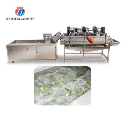 Bubble washing vibration air drying production line Orange Vegetable Herbs Fruit processing production Machine