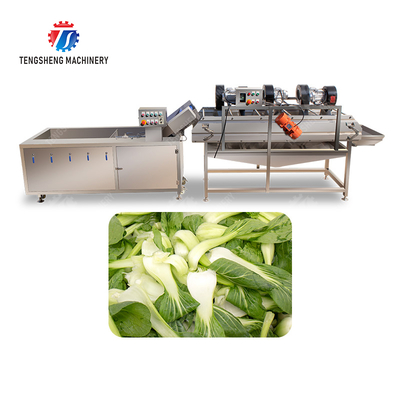 Bubble washing vibration air drying production line Orange Vegetable Herbs Fruit processing production Machine