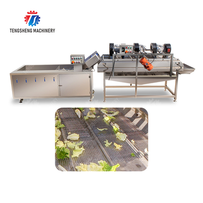 Bubble washing vibration air drying production line Orange Vegetable Herbs Fruit processing production Machine