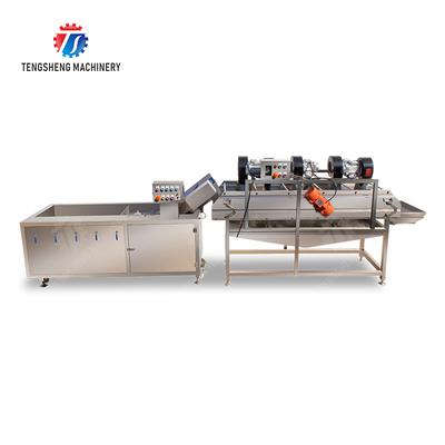 Bubble washing vibration air drying production line Orange Vegetable Herbs Fruit processing production Machine