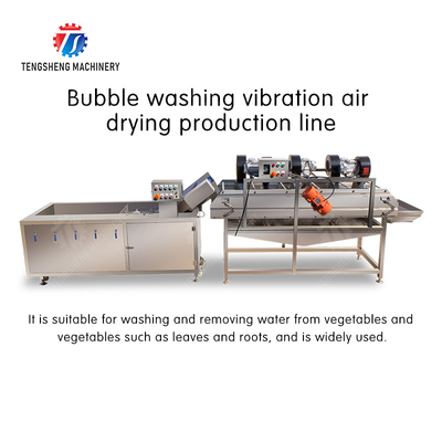 Bubble washing vibration air drying production line Orange Vegetable Herbs Fruit processing production Machine