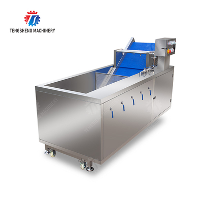 Bubble washing vibration air drying production line Orange Vegetable Herbs Fruit processing production Machine