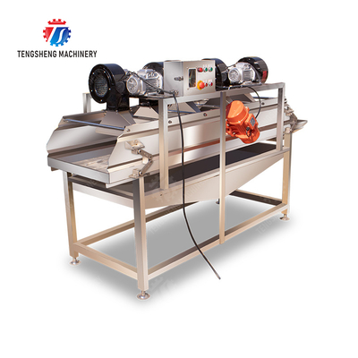 Bubble washing vibration air drying production line Orange Vegetable Herbs Fruit processing production Machine
