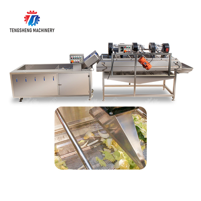 Bubble washing vibration air drying production line Orange Vegetable Herbs Fruit processing production Machine