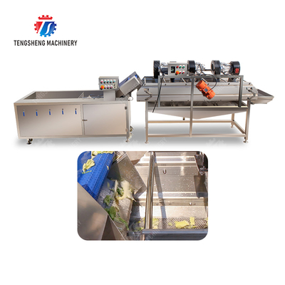 Bubble washing vibration air drying production line Orange Vegetable Herbs Fruit processing production Machine