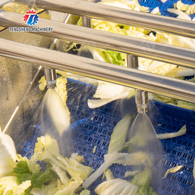 Bubble washing vibration air drying production line Orange Vegetable Herbs Fruit processing production Machine
