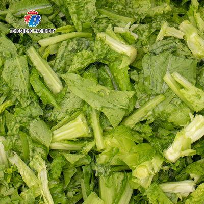 Bubble washing vibration air drying production line Orange Vegetable Herbs Fruit processing production Machine