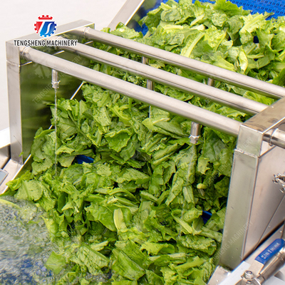 Bubble washing vibration air drying production line Orange Vegetable Herbs Fruit processing production Machine