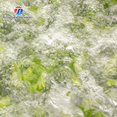 Bubble washing vibration air drying production line Orange Vegetable Herbs Fruit processing production Machine