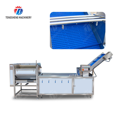 Citrus cleaning production line Fruit Orange Wash Washer Washing Cleaning Dryer processing production Machine