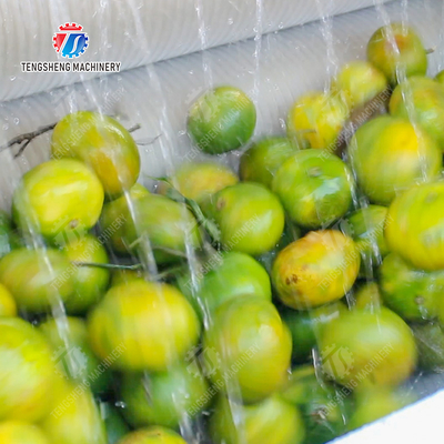 Citrus cleaning production line Fruit Orange Wash Washer Washing Cleaning Dryer processing production Machine