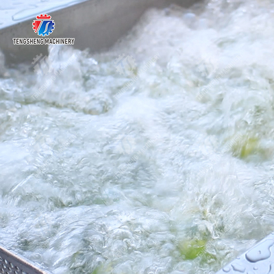 Citrus cleaning production line Fruit Orange Wash Washer Washing Cleaning Dryer processing production Machine