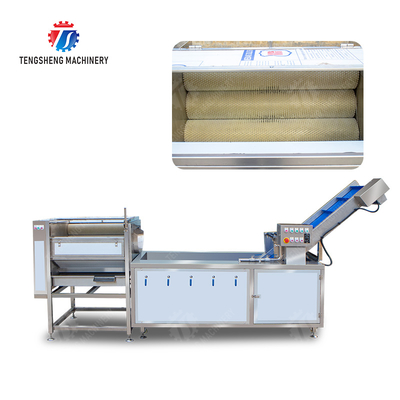 Citrus cleaning production line Fruit Orange Wash Washer Washing Cleaning Dryer processing production Machine