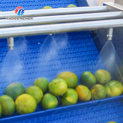 Citrus cleaning production line Fruit Orange Wash Washer Washing Cleaning Dryer processing production Machine