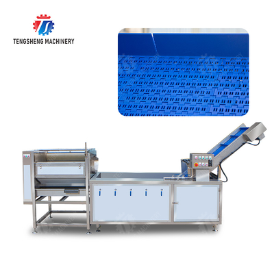 Citrus cleaning production line Fruit Orange Wash Washer Washing Cleaning Dryer processing production Machine