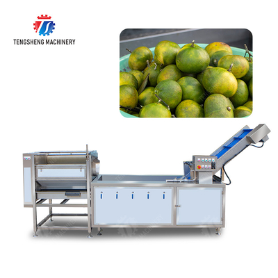 Citrus cleaning production line Fruit Orange Wash Washer Washing Cleaning Dryer processing production Machine